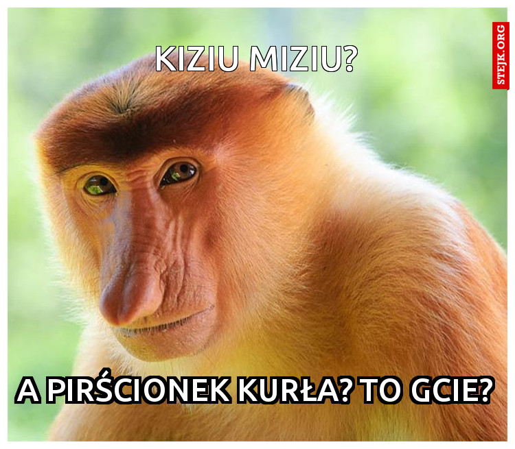 kiziu miziu?