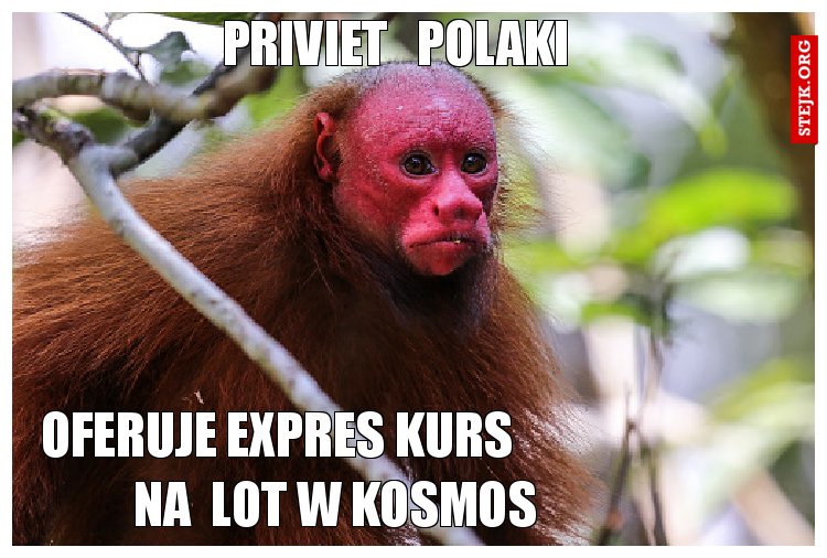 priviet   polaki