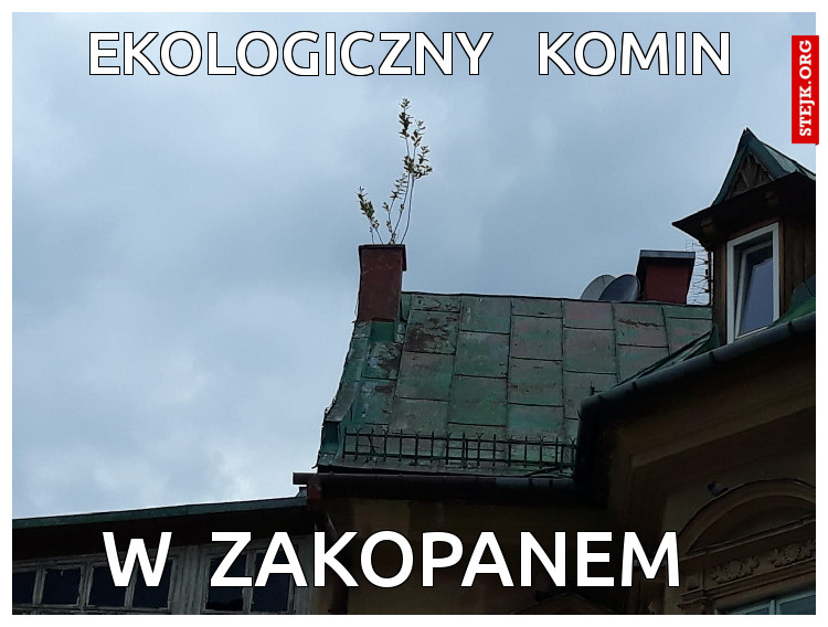 ekologiczny   komin