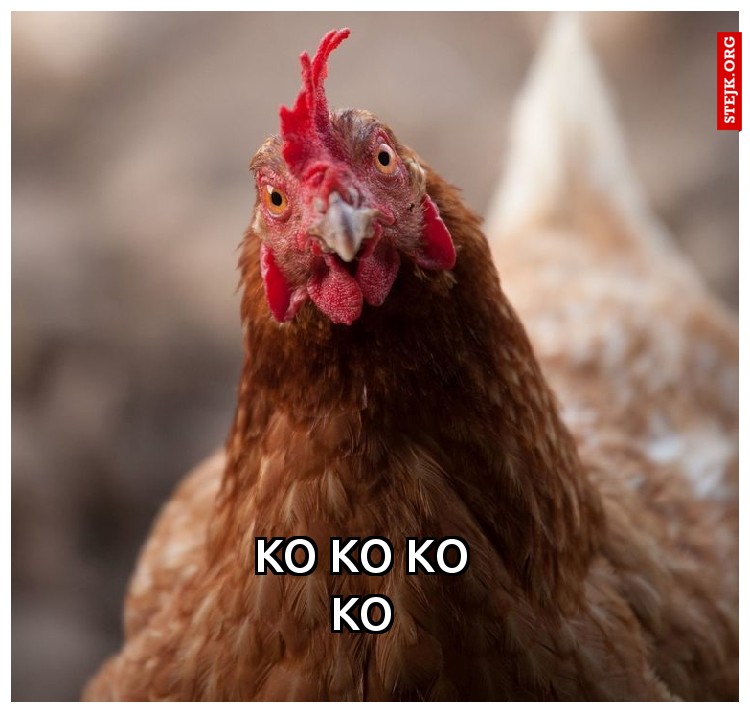 KO KO KO KO