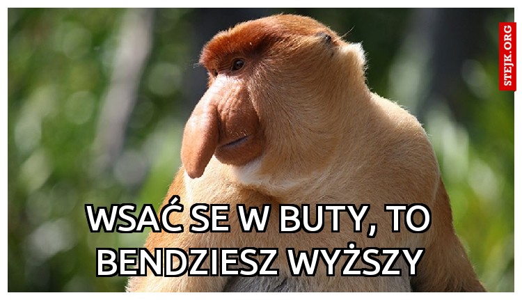Wsać se w buty, to bendziesz wyższy