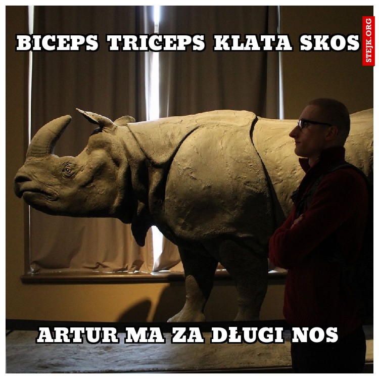 BICEPS TRICEPS KLATA SKOS