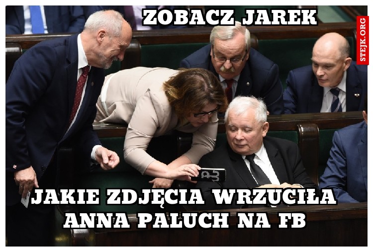 zobacz jarek