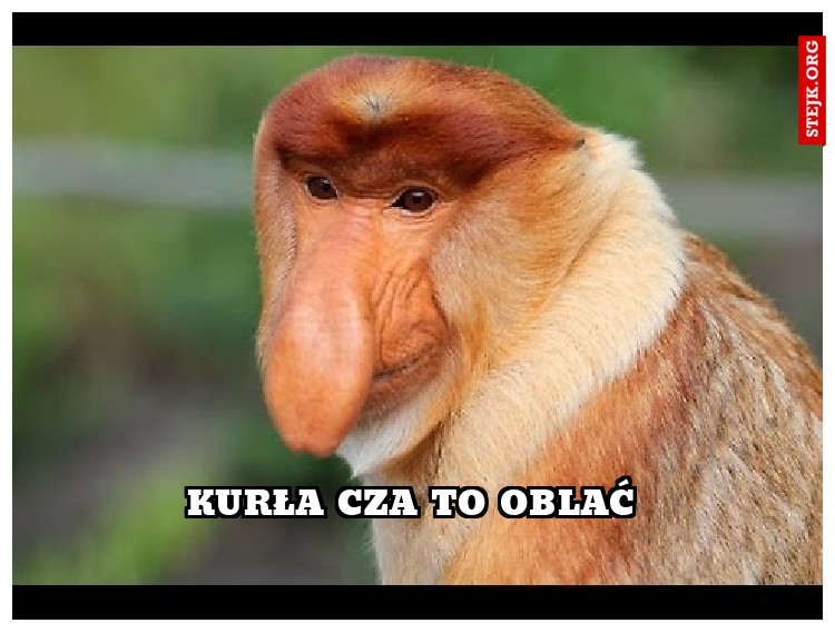 KURŁA CZA tO OBLAĆ 