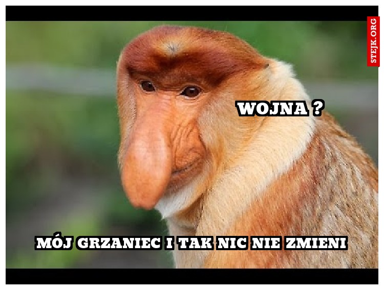 Mój grzaniec i tak nic nie zmieni