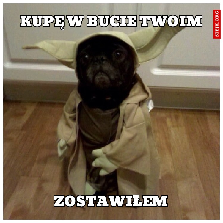 Kupę w bucie Twoim