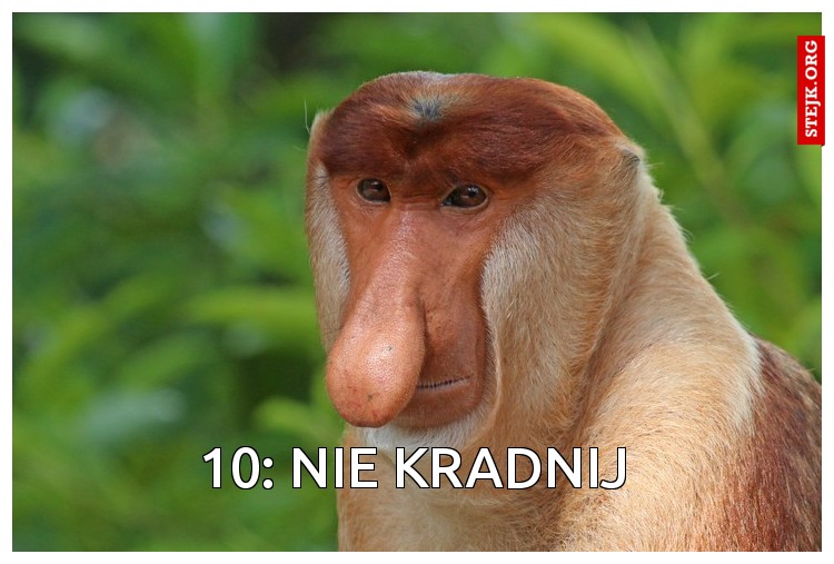 10: Nie kradnij