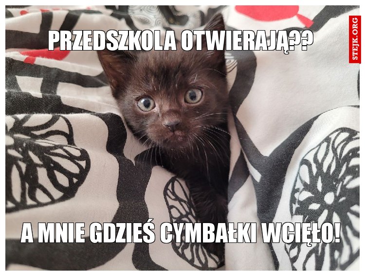 przedszkola otwierają??