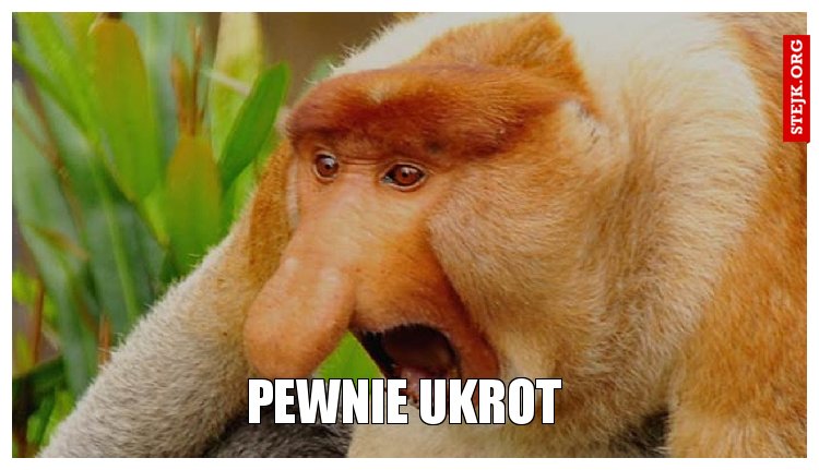 PEWNIE UKROT 
