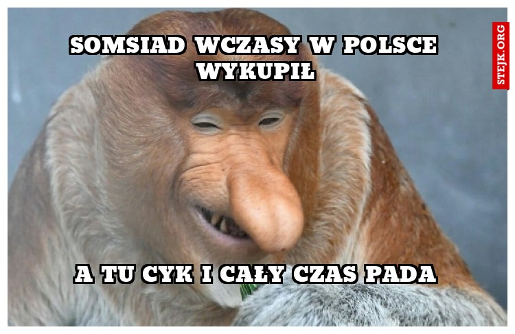 SOMSIAD