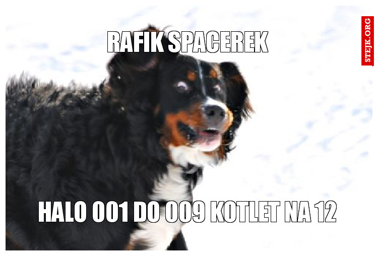 rafik spacerek