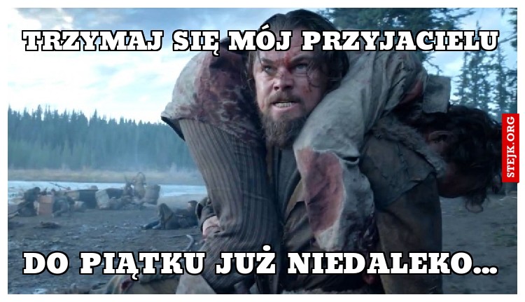Trzymaj się mój przyjacielu