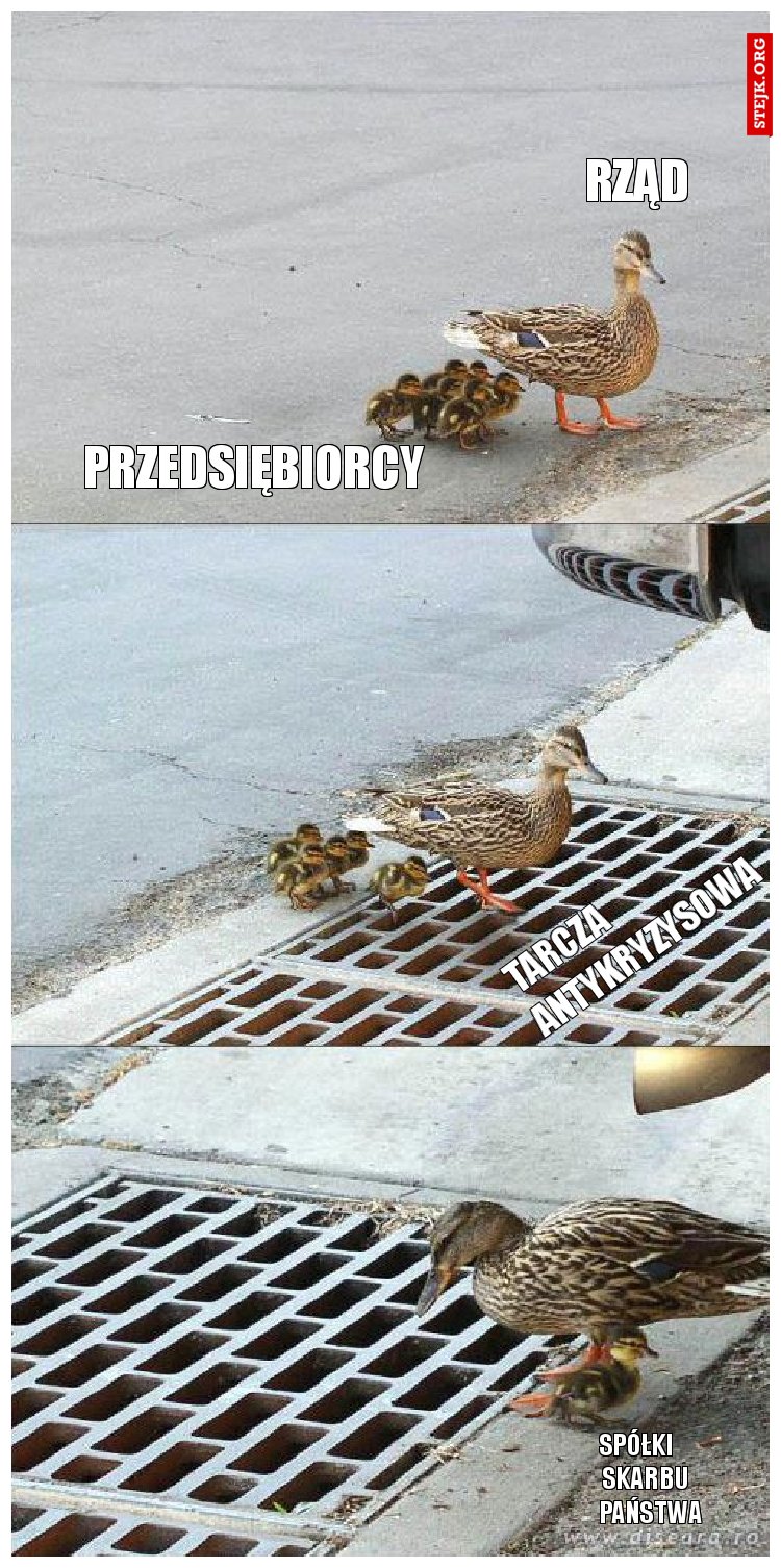 tarcza                      antykryzysowa