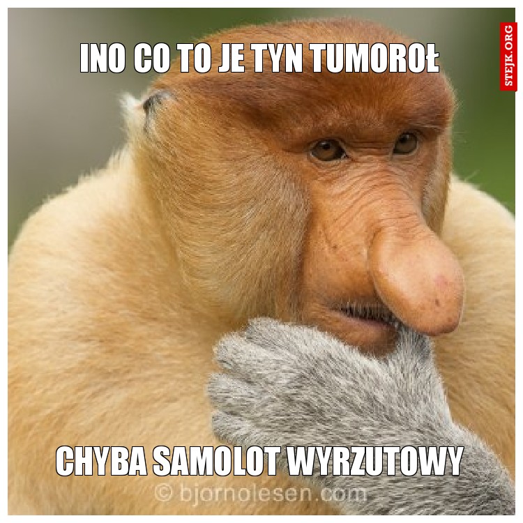 ino co to je tyn tumoroł