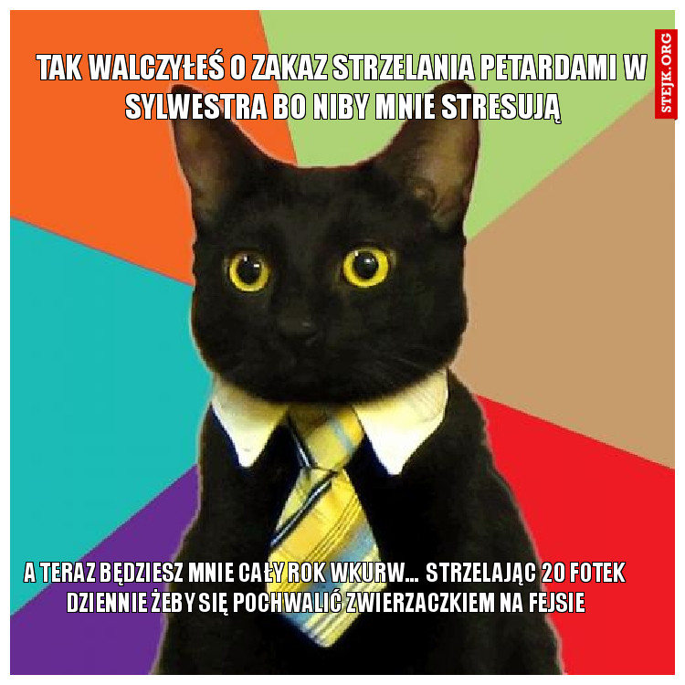 Tak walczyłeś o zakaz strzelania petardami w sylwestra bo niby mnie stresują