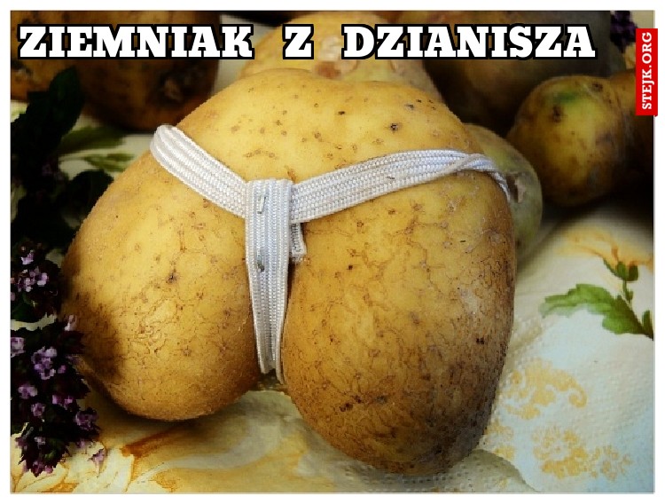 ziemniak  z  dzianisza