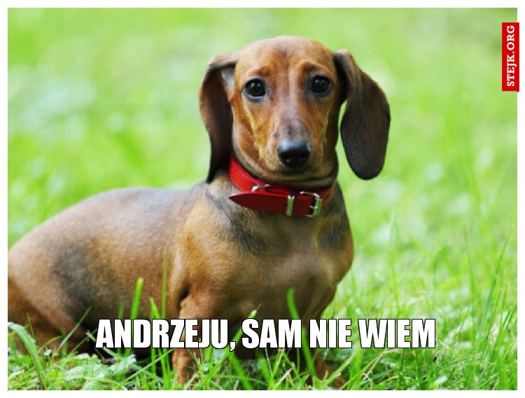 ANDRZEJU, SAM NIE WIEM