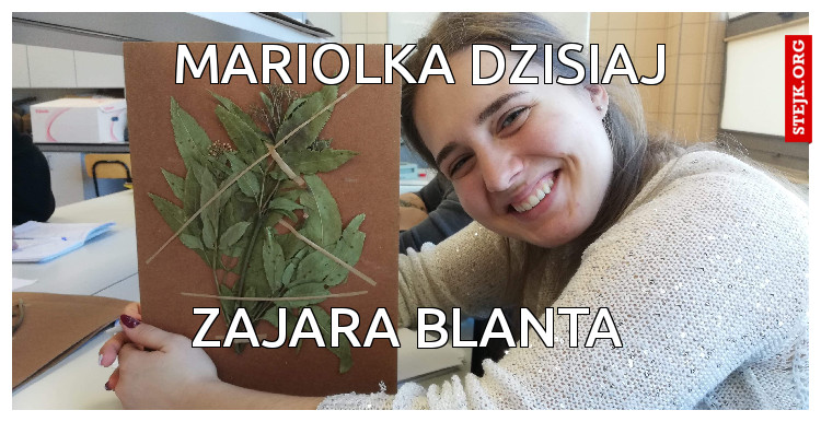 Mariolka dzisiaj