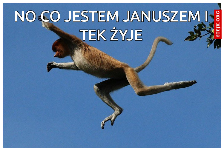 no co jestem januszem i tek żyje