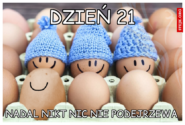dzień 21