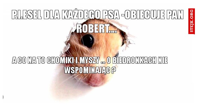 P.I.ESEL DLA KAŻDEGO PSA -OBIECUJE pan ROBERT.... 