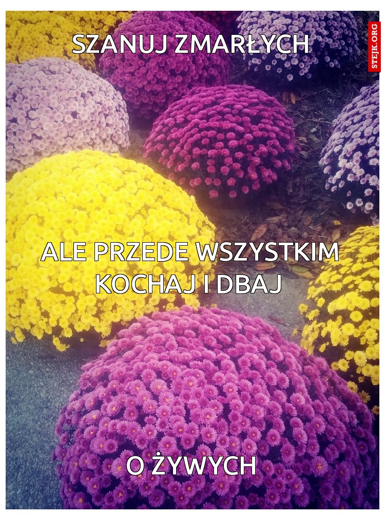 SZANUJ ZMARŁYCH