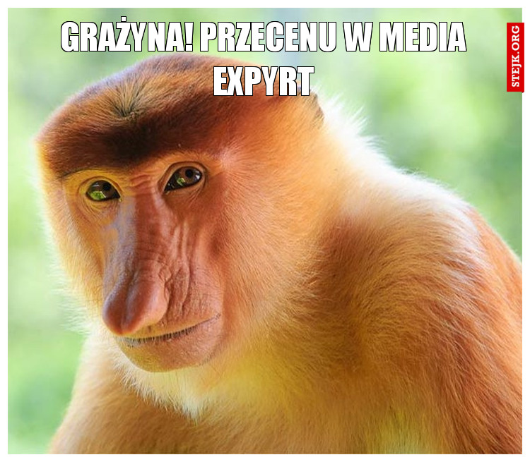 Grażyna! Przecenu w media expyrt