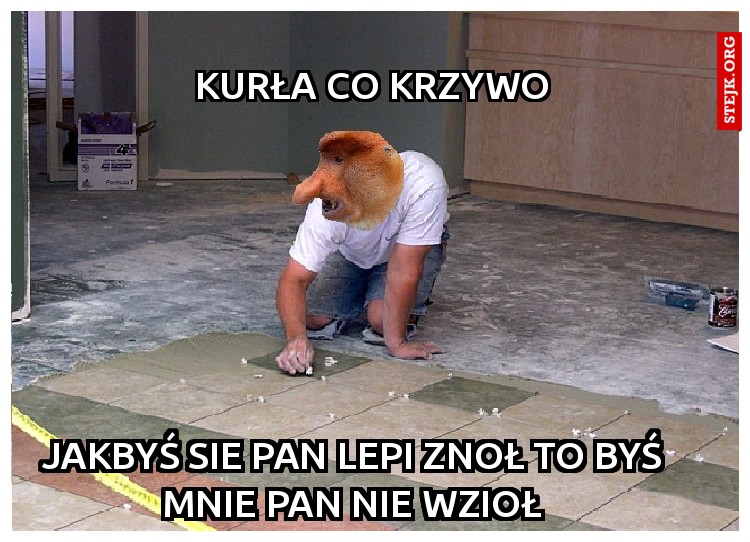 kurła co krzywo