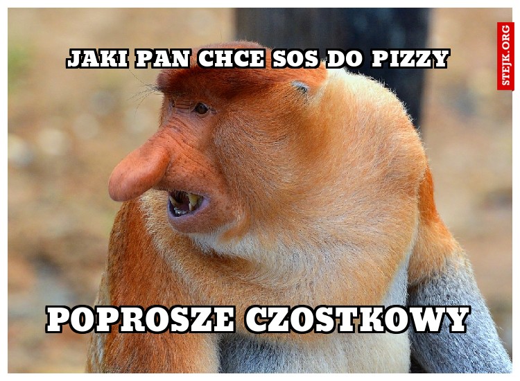 JAKI PAN CHCE SOS DO PIZZY