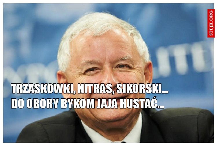 TRZASKOWKI, NITRAS, SIKORSKI... DO OBORY BYKOM JAJA HUSTAĆ...