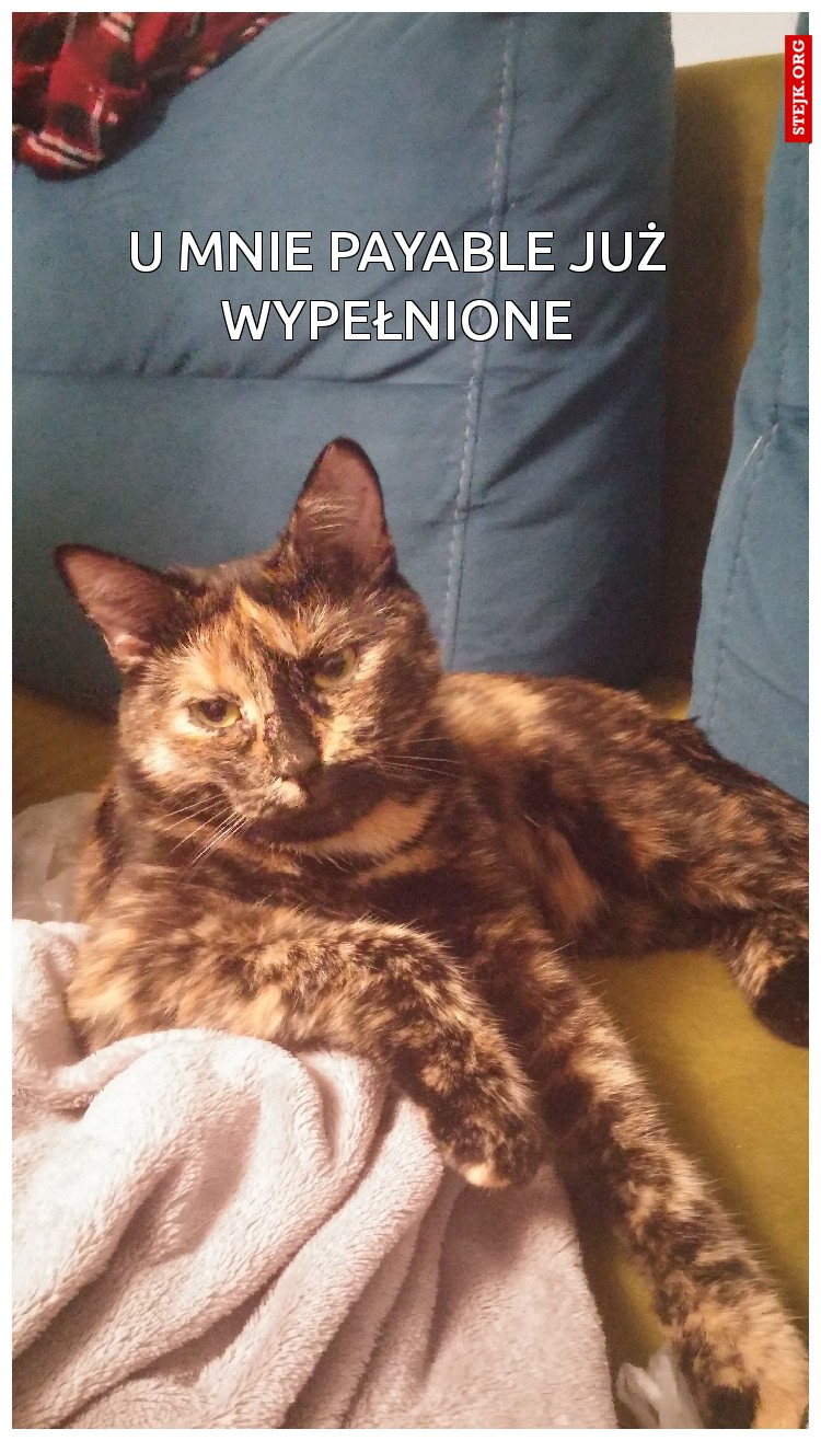 U MNIE PAYABLE JUŻ WYPEŁNIONE
