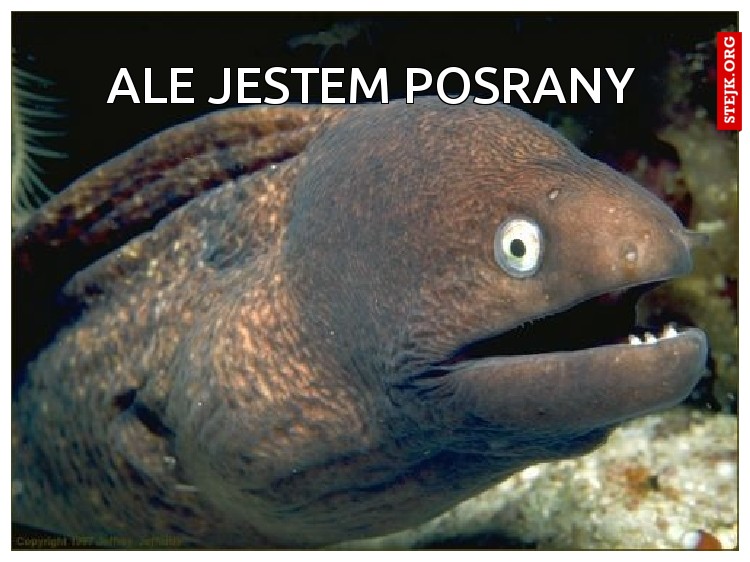 Ale jestem posrany