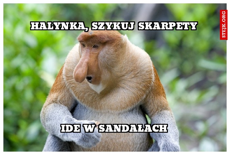 Halynka, szykuj skarpety