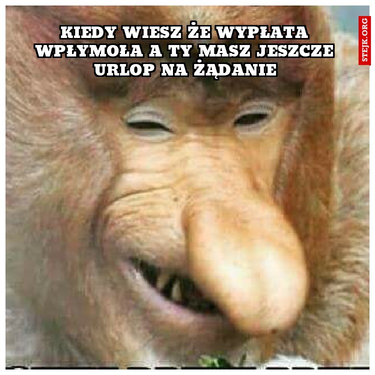 Kiedy wiesz że wypłata wpłymoła a ty masz jeszcze urlop na żądanie