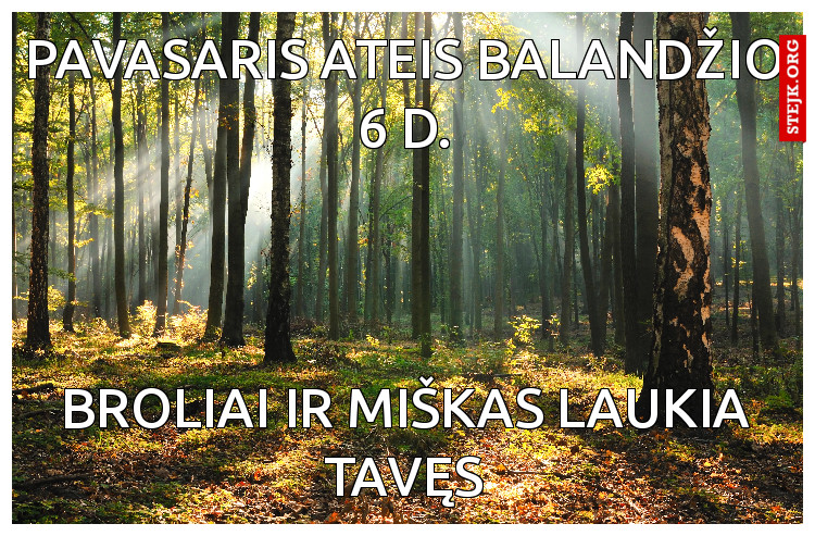 Pavasaris ateis balandžio 6 d.