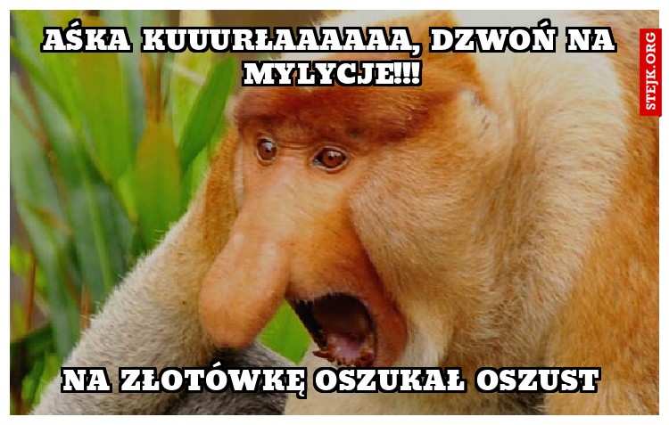 AŚKA KUUURŁAAAAAA, DZwoń na MYLYCJE!!!