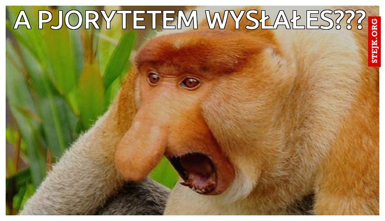 A PJORYTETEM WYSŁAŁES???