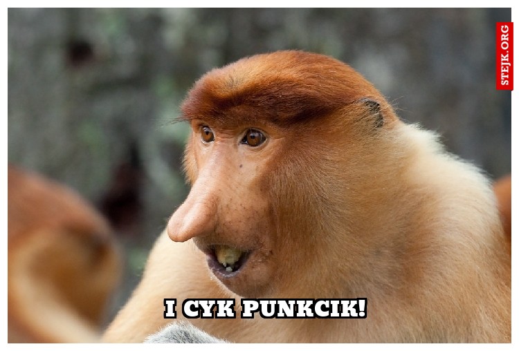 I cyk punkcik!