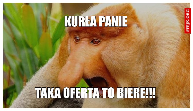 KURŁA PANIE