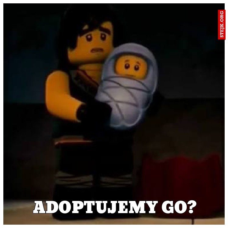 Adoptujemy go?
