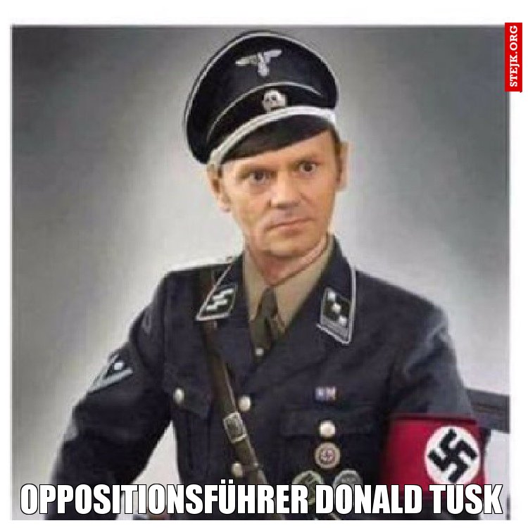 Oppositionsführer Donald Tusk 
