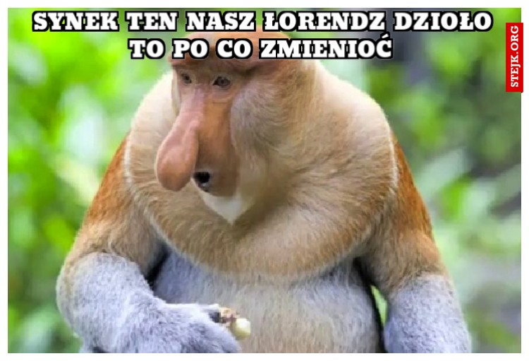 Synek ten nasz łorendz dzioło to po co zmienioć 