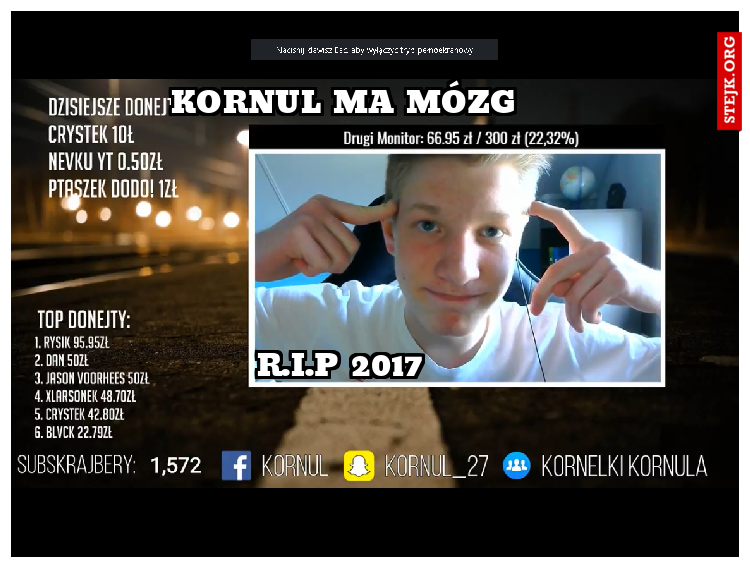 KORNUL MA MÓZG