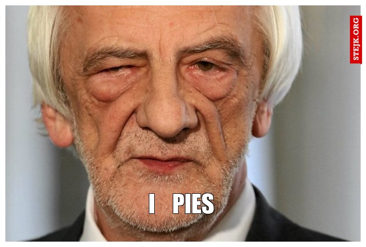 i    pies