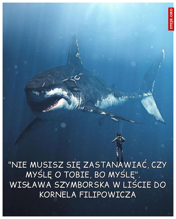 "Nie musisz się zastanawiać, czy myślę o Tobie, bo myślę".     Wisława Szymborska w liście do Kornela Filipowicza