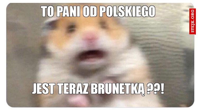 to pani od polskiego