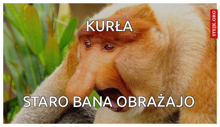 Kurła