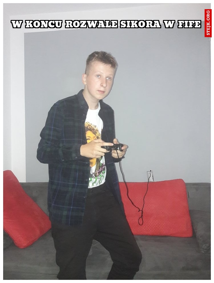 w koncu rozwale sikora w fife