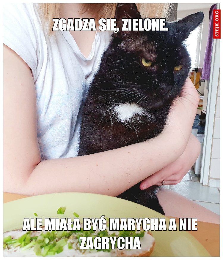zgadza się, zielone.