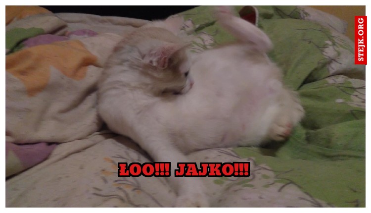 łoo!!! jajko!!!